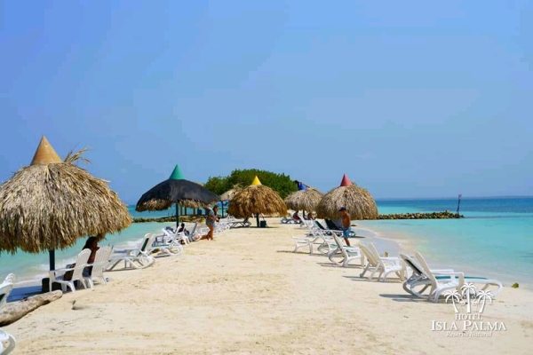 ISLA PALMA - Imagen 5