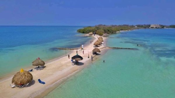ISLA PALMA - Imagen 8