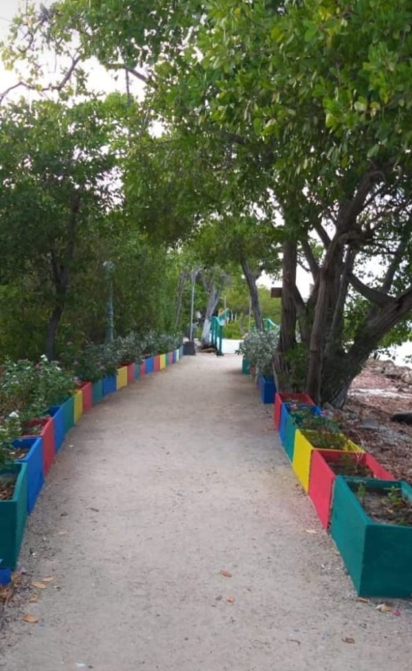 ISLA PALMA - Imagen 10