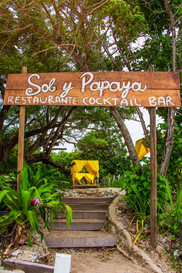 ISLA SOL Y PAPAYA OPEN BAR - Imagen 3