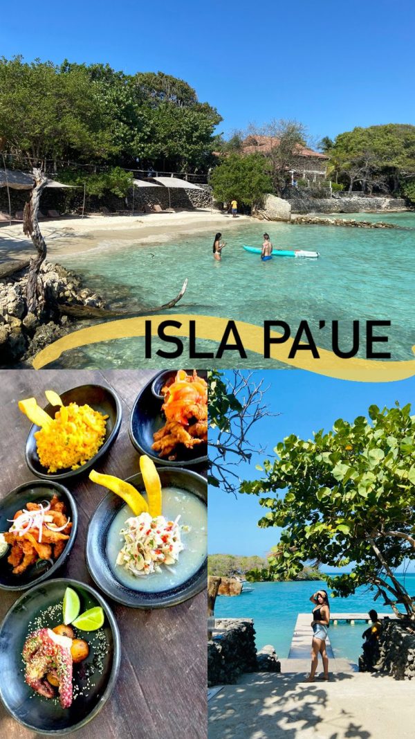 paue baytours