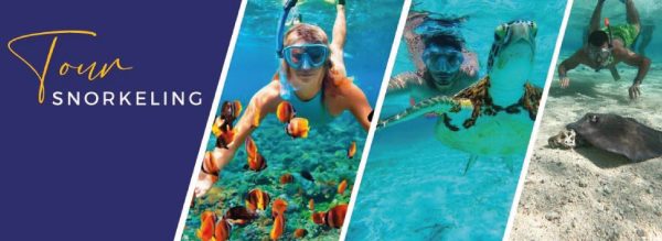 PLAYA BLANCA + ISLAS + PLANCTON - Imagen 4