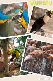 AVIARIO NACIONAL + PLAYA BLANCA