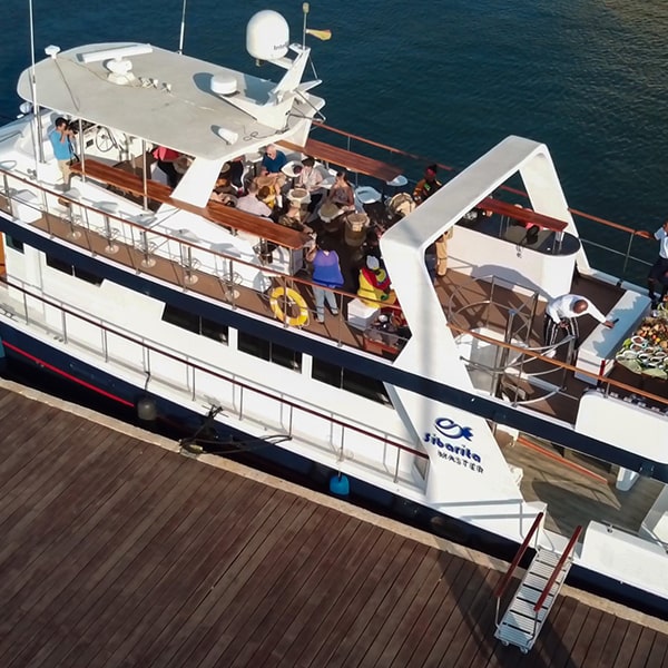 CENA 3 TIEMPOS SIBARITA - Imagen 14